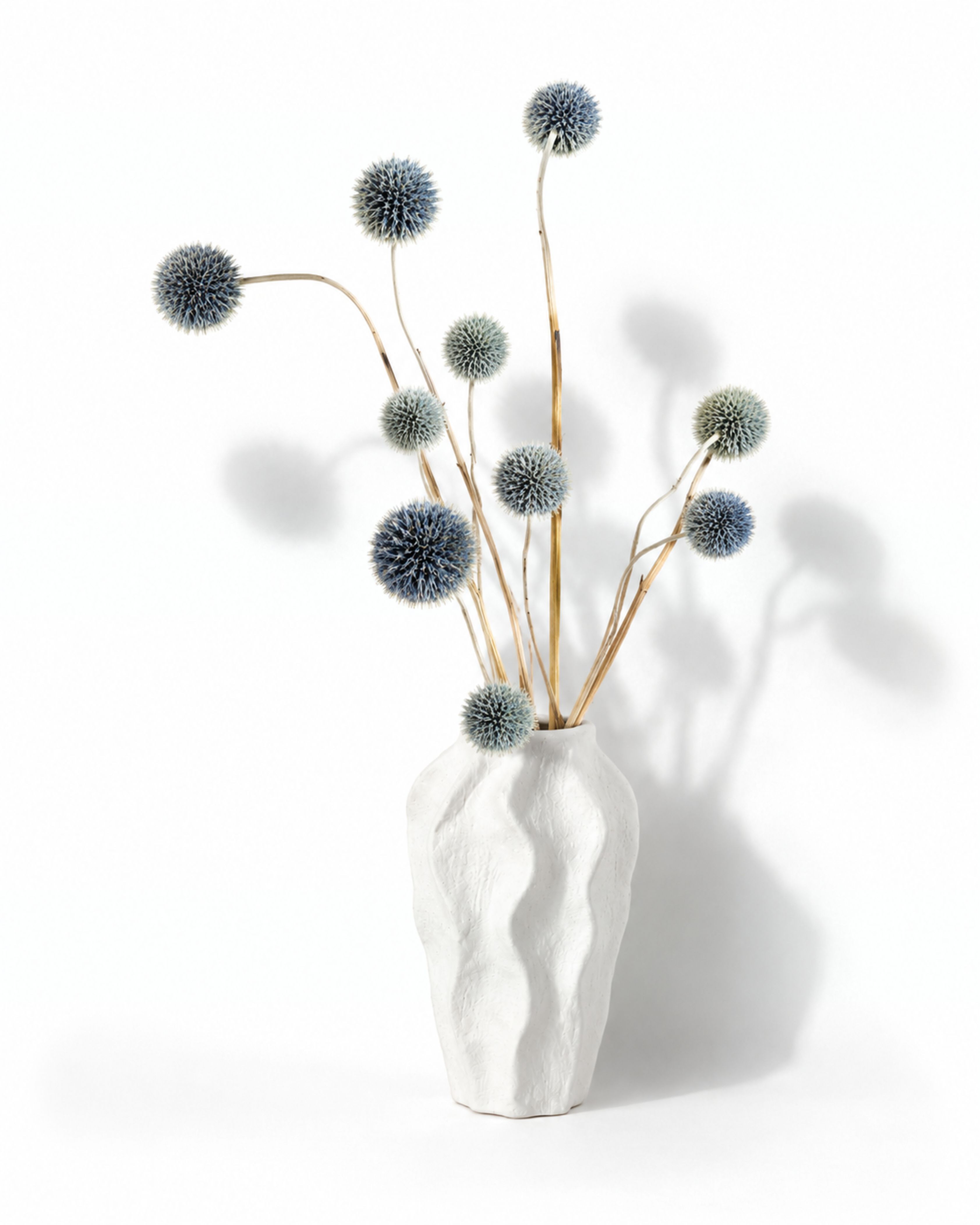 Blue Echinops Stems