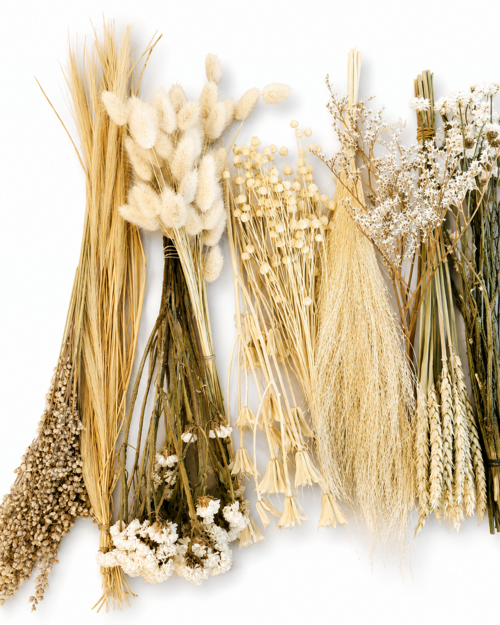 Natural Dried Flower Box for Crafts