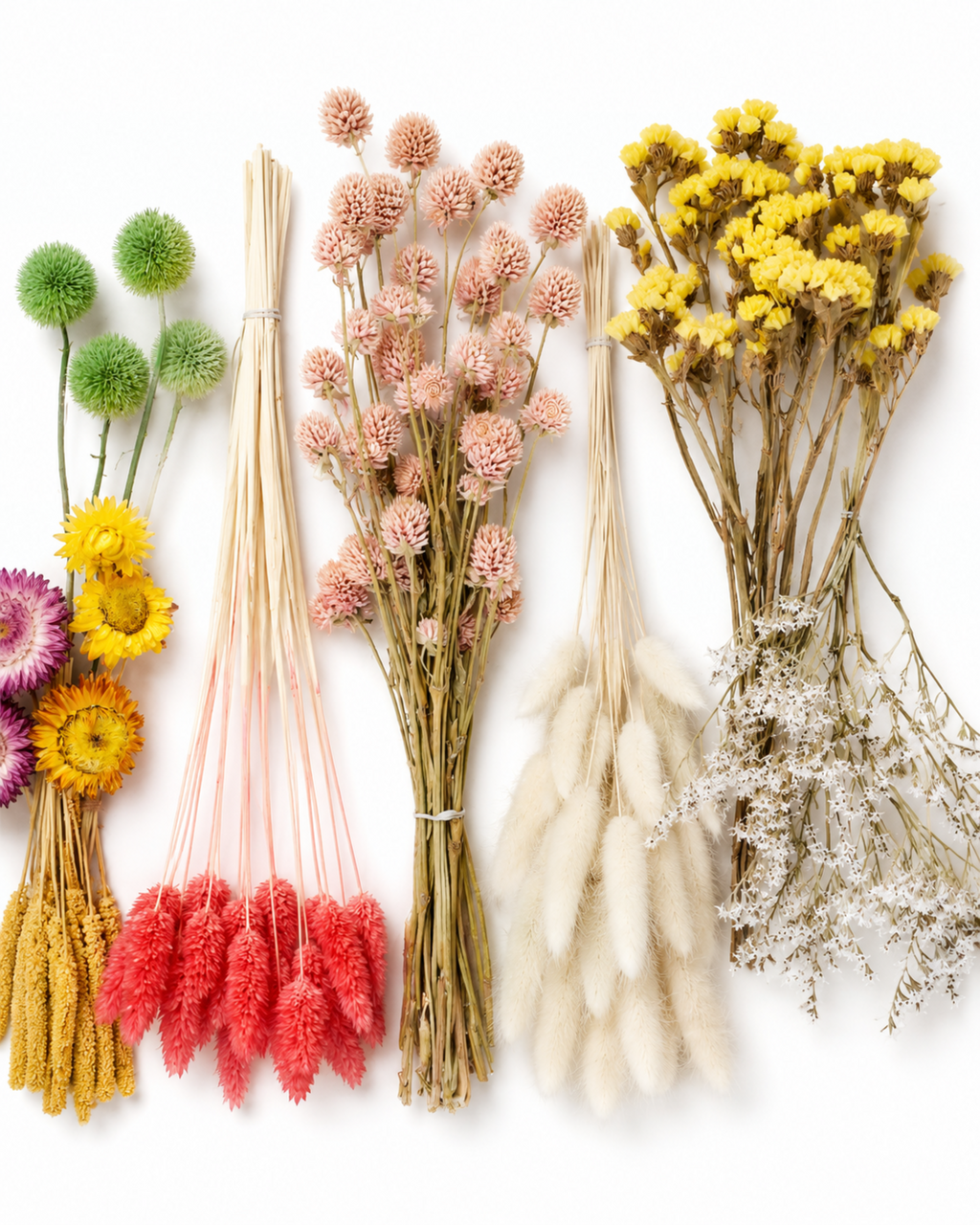 Colorful Dried Flower Box for Crafts
