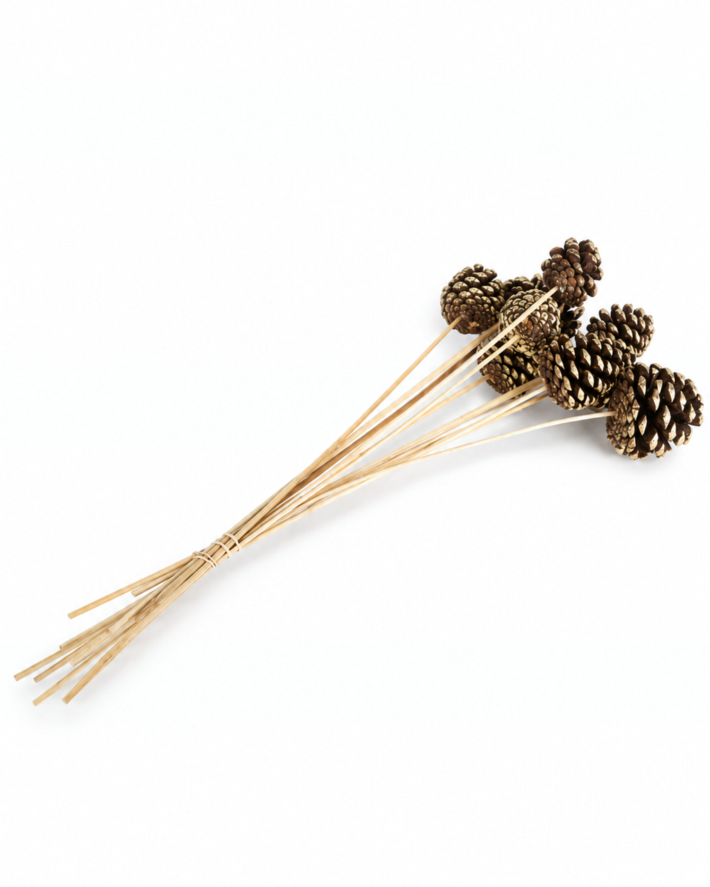 Natural Gold Pine Cones on Stems - Gilded Christmas Tree Picks Bunch of 10 Stems